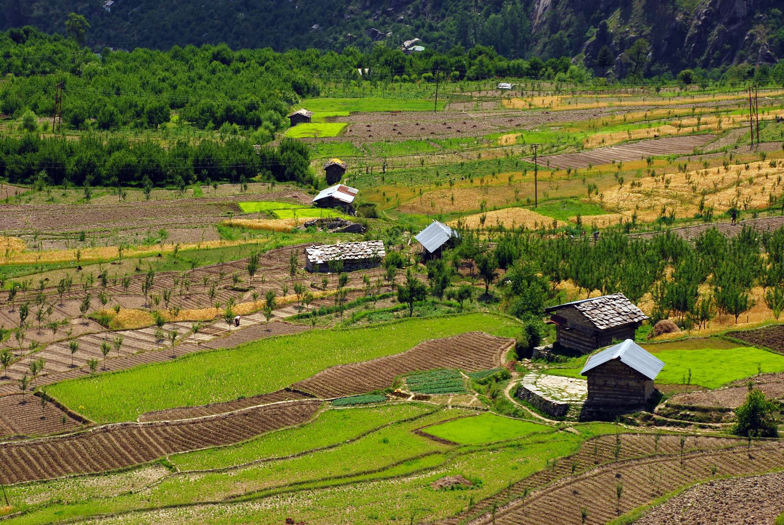 https://d3r8gwkgo0io6y.cloudfront.net/upload/Kullu Valley.jpg